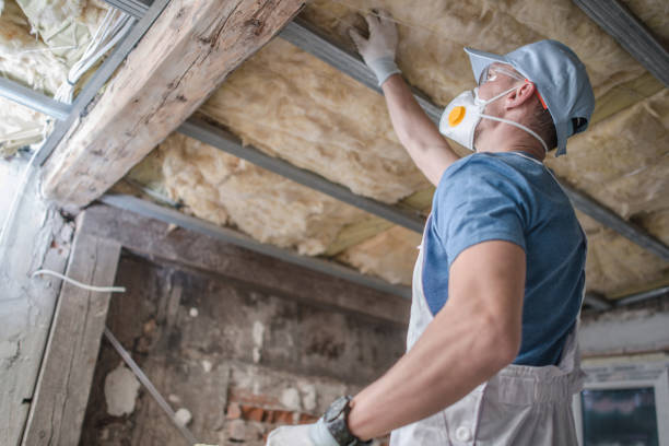 Best Attic Insulation Installation  in South Waverly, PA