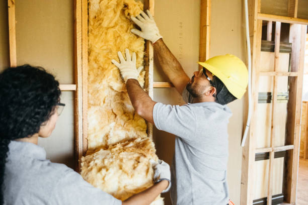 Best Spray Foam Insulation  in South Waverly, PA