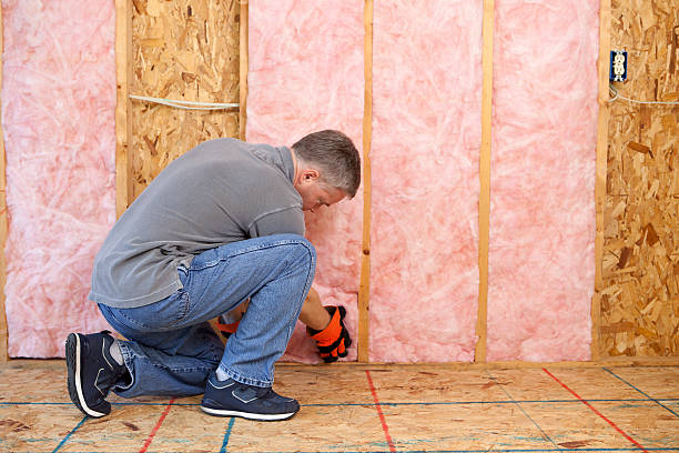 Best Crawl Space Insulation  in South Waverly, PA