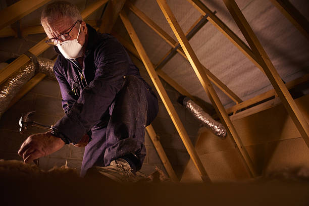Best Affordable Insulation Services  in South Waverly, PA