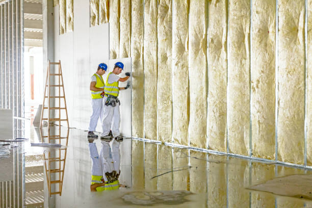 Best Insulation Replacement Services  in South Waverly, PA